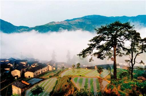 2024河南首届正大年货·美食嘉年华即将启动!